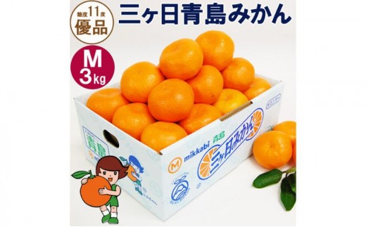 
                  三ヶ日みかん 青島 優品 M 3kg 蜜柑 ミカン 果物 くだもの フルーツ 静岡 浜松市【配送不可：北海道・沖縄・離島】
                