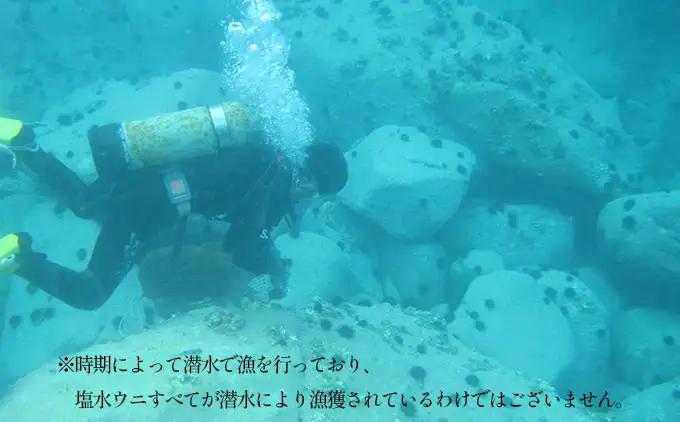 【2026年7月上旬頃より順次発送】北海道奥尻産「キタムラサキウニ」50g×2パック (塩水パック)【期日指定不可】