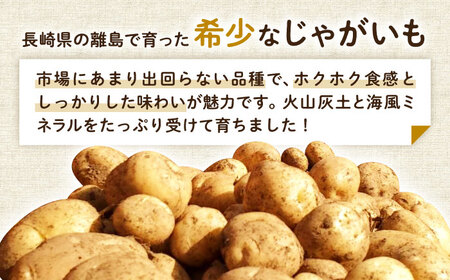 【2027年1月～4月発送】島の元気なじゃがいも!旨味抜群の『デジマ』5kg 五島市/あわたに農園[PGO004]