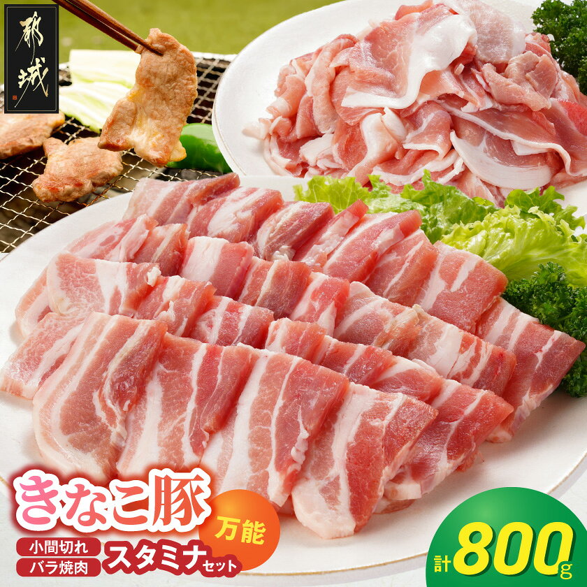 【ふるさと納税】「きなこ豚」万能スタミナ小間切れ＆焼肉セット800g - ブランド豚 バラ焼肉 小間切れ 普段使いに便利 万能 セット きなこ豚 都城産豚 送料無料 AA-12-013【宮崎県都城市は2年連続ふるさと納税日本一！】