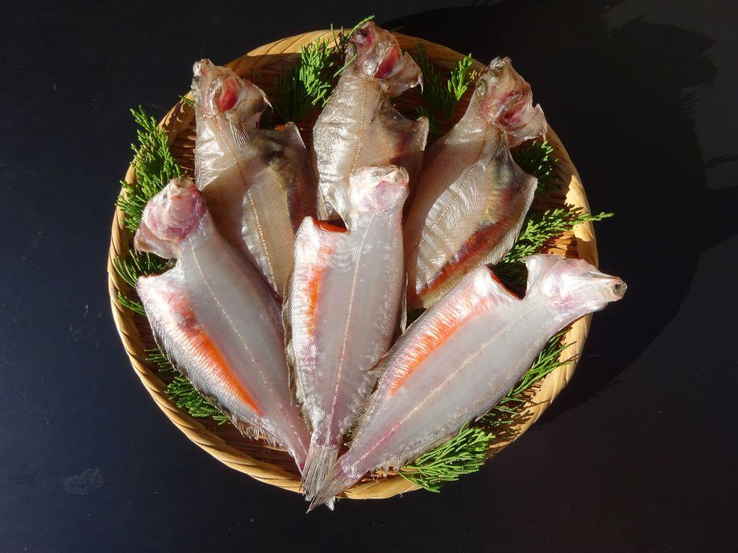 【停止中】子持ちやなぎがれい寒風干し　500ｇ（4〜6枚）