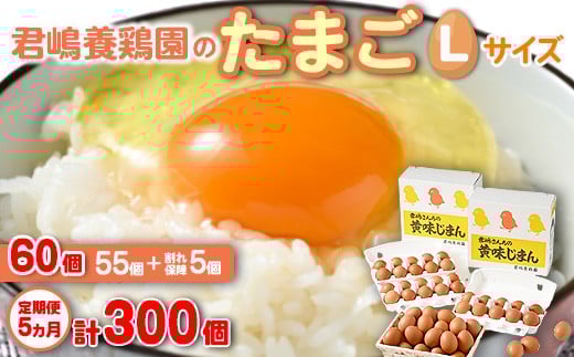 
            【5か月定期便】君嶋養鶏園のたまご Lサイズ 60個（55個＋割れ補償5個）×5ヶ月 計300個 | 定期便 5ヶ月 5か月 5ヵ月 卵 玉子 たまご 赤卵 赤たまご 生卵 国産 濃厚 鶏卵 コク 旨味
          