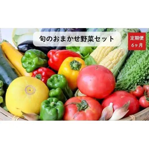 《定期便6ヶ月》旬のおまかせ野菜セット　4種類以上 ／ 野菜 やさい 旬の野菜 セット 詰め合わせ 定期便
