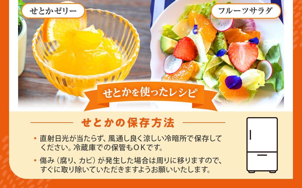 みかん の大トロ せとか 1500g 訳あり ブランド 和歌山 有田みかん 農家直送 オレンジ フルーツ 果物