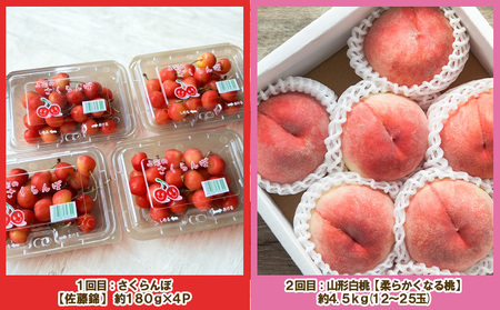 【定期便４回】ノノハナフルーツ 山形人気のフルーツ たっぷり満足便【令和8年産先行予約】FS25-071