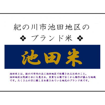 ふるさと納税 紀の川市 【栽培期間中農薬不使用】令和7年産 白米5kg(5kg×1袋入)紀の川市産(池田米)きぬむすめ |  | 03