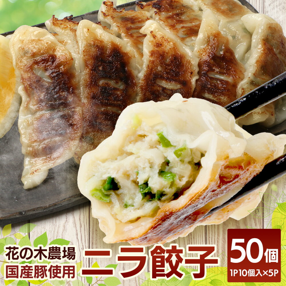 【ふるさと納税】ニラ餃子【5パック】セット（HK-502）