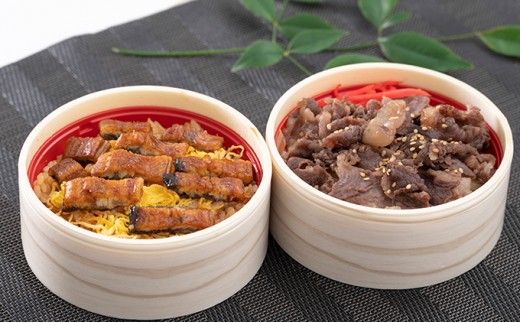 
                  静岡祭丼　おすすめセット A （浜名湖鰻まぶし丼・三ヶ日牛丼 各3食）【配送不可：離島】 加工品 惣菜 冷凍 うなぎ 牛肉 お肉 
                