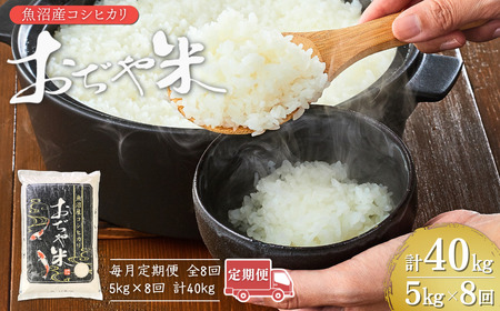 【毎月定期便 こしひかり 5kg×8回】魚沼産 コシヒカリ 魚沼特A地域