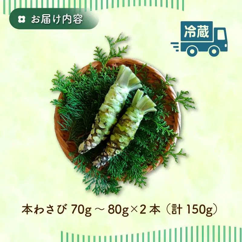 わさび 伊豆 下田 本わさび 2本 150g ワサビ