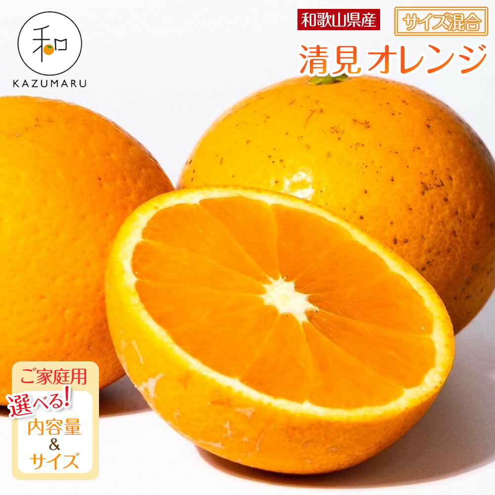 【ふるさと納税】【選べる容量・サイズ】 先行予約 家庭用 森本農園の手選別 清見オレンジ 1.5kg～10kg 和歌山県産 サイズ混合 ［北海道・沖縄・離島配送不可］ | みかん 蜜柑 フルーツ 果物 くだもの 食品 人気 おすすめ 送料無料