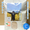 【ふるさと納税】【ふるさと納税】栽培期間中農薬化学肥料不使用 はれわたり 玄米 5kg　【玄米・お米・お米】　【弘前市】