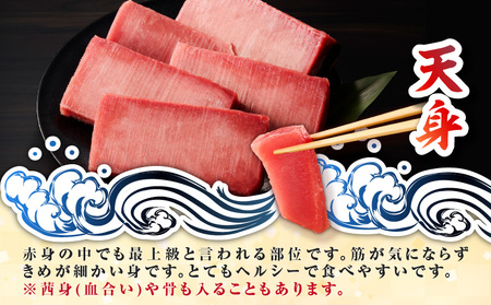 目鉢鮪 天身 1kg M081-010 冷凍 マグロ