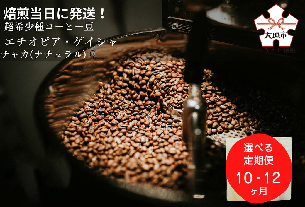 【ふるさと納税】 ＜選べる定期便　10か月・12か月＞ 焙煎当日に発送！超希少種コーヒー豆『エチオピア ゲイシャ』ゲシャビレッジ農園 ナチュラル