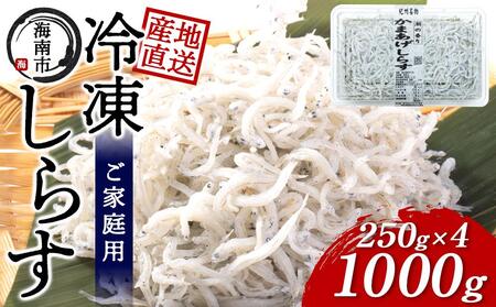 産地直送 ご家庭用 冷凍 しらす 1000g （250g × 4 ）（ 冷凍 ）