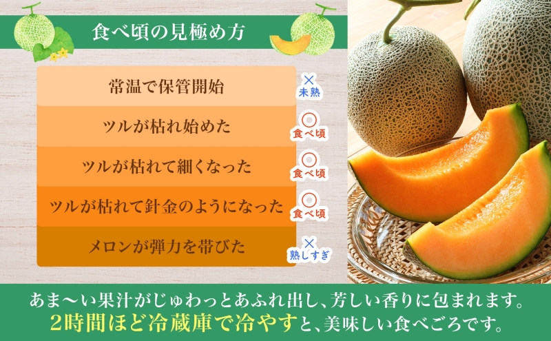 【2026年夏発送】北海道 赤肉メロン 北の女王 秀品 約1.6kg×2