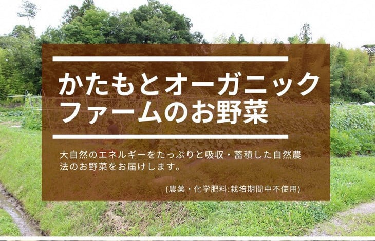 人参 4kg【期間限定】自然栽培の甘い 葉付き人参 京都府・亀岡産 かたもとオーガニックファームよりお届け 《訳あり サイズ不揃い にんじん 国産 京都産 栽培期間中農薬不使用 産地直送》 ※2025