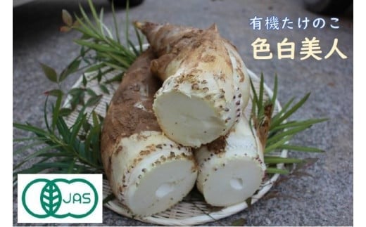 
            【来春先行予約】有機JAS認証  白子たけのこ 「色白美人」 3.5kg
          