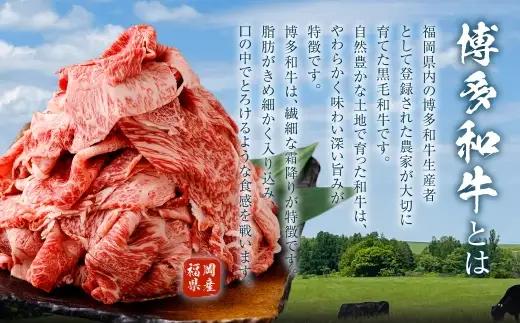 特選赤身切り落とし 1kg （ 500g × 2 ） お肉 肉 にく ニク 牛肉 牛 博多牛 国産 福岡県産 特選 赤身 切り落とし