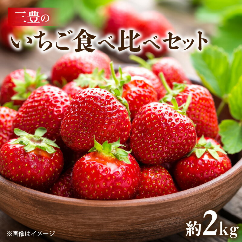 【ふるさと納税】【配送不可地域：北海道・沖縄県・離島】 いちご 食べ比べ セット 女峰いちご さぬきひめ 各 250g 4パック 計 約 2kg 甘み 酸味 香りが強い ジューシー 果肉 ケーキ お菓子 果物 フルーツ スイーツ 香川県 お取り寄せ 送料無料 五色青果