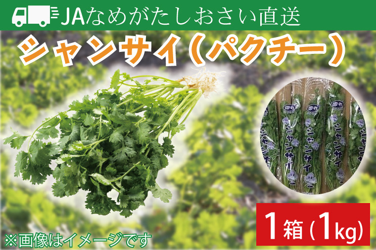 
            JAなめがたしおさい直送　シャンサイ(パクチー1kg)｜シャンサイ パクチー 野菜 1kg JA サラダ 鍋 スープ 茨城県 行方市(AE-28)
          