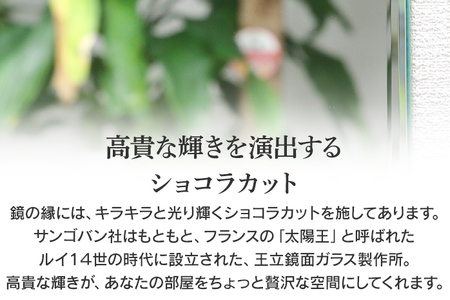 姿見鏡プレミア 幅35cm×高さ120cm DIY用 姿見 ミラー 全身 上下フレーム ショコラカット 全身鏡 姿見ミラー