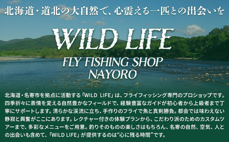 阿部ガイド フライフィッシング ツアーガイド チケット 《30日以内に出荷予定(土日祝除く)》 地域おこし協力隊　地域起こし協力隊 2名様 体験 釣り 券 WILDLIFE 川釣り 魚 遊び ガイド 
