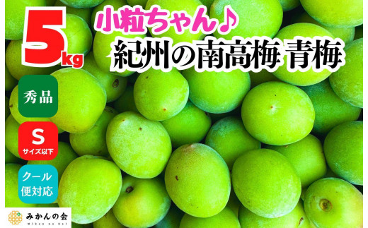
                  [2025年6月上旬出荷]南高梅 青梅 秀品 小粒ちゃん 約5kg Sサイズ以下 和歌山県産 紀州有田 産地直送 クール便対応 梅酒作り用 梅ジュース作り用
                