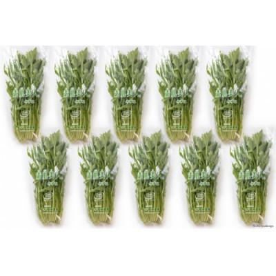 ふるさと納税 島原市 【毎月定期便】産地直送　水菜　10束全6回 |  | 01