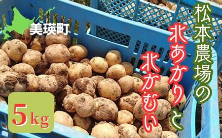【令和７年産予約受付！】松本農場の北あかり＆北かむい5kg |  じゃがいも じゃがいも じゃがいも じゃがいも じゃがいも じゃがいも [008-29]