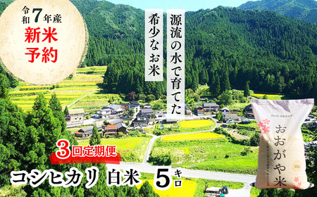 【3回定期便】白米 5kg 令和7年産 コシヒカリ 岡山 「おおがや米」生産組合 G-af-BECA