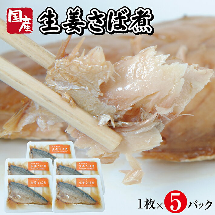 【ふるさと納税】国産生姜さば煮 1枚×5パック 生姜 サバ 常温保存 ご飯のおとも