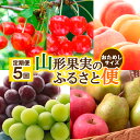 【ふるさと納税】【定期便5回】山形果実のふるさと便 おためしサイズ【令和6年産先行予約】FS23-882