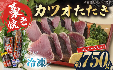 藁焼き　カツオのタタキ1節とハーフセット(冷凍)約750g 4.5?6人前【土佐黒潮水産】[ATCQ016]