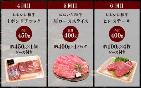 173-1285 【6ヶ月定期便】 毎月違うセットが届く！おおいた和牛 セット 合計約2.45kg 1回あたり約400g～約450g 牛肉 食べ比べ ソース付き サーロイン 赤身 ミスジ ブロック ロ