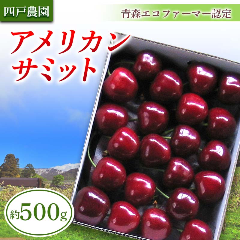 【ふるさと納税】 《農家直送》 さくらんぼ 「アメリカンサミット」 バラ詰め 約500g 【四戸農園】青森県エコファーマー認定 F21U-305