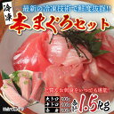 【ふるさと納税】【刺身用】 本マグロセット（大トロ 500g + 中トロ 500g + 赤身 500g）計1.5kg【最新の冷凍技術】 / 国産 グルメ マグロ [H-11004]