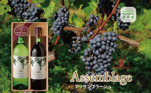 和食を意識して醸造　丹波ワイン「アッサンブラージュ」セット【 国産ワイン 赤ワイン 白ワイン ワイン 】　[012SA001]