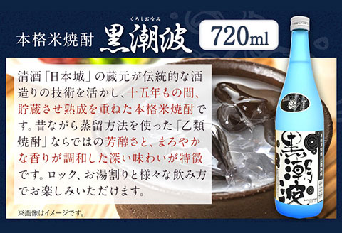 本格米焼酎黒潮波（くろしおなみ）720ml×2本厳選館《90日以内に出荷予定(土日祝除く)》酒本格米焼酎焼酎米焼酎---wshg_genkn_90d_22_13000_2p---