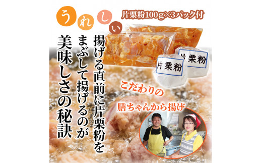 膳ちゃん唐揚げ1.65kg+鶏皮揚げ0.2kg（1100R）_イメージ5