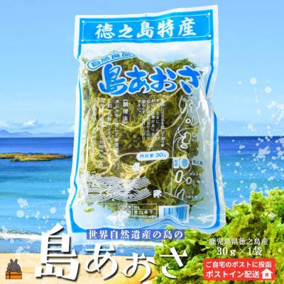 ふるさと納税 徳之島町 【2026年とれたて!】煌きの海からの恵み!島あおさ(1袋)【ポストイン配送】