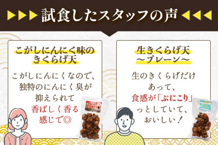 熊本グッドプロダクト賞 ! 生きくらげ入り てんぷら～焦がしニンニク入＆プレーン 4パック セット(各2P) 真空パック さつまあげ さつま揚げ つけあげ きくらげ キクラゲ 木耳 魚介 熊本県 多良