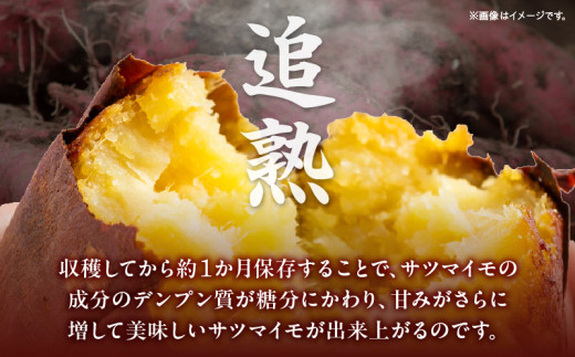 【ホックホク食感の優しい甘み】さつまいも金時 1.8kg 3箱・H116