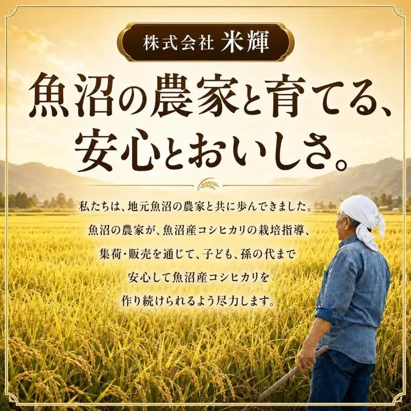 農産物検査員お奨め 魚沼産こしひかり（精米）5kg 3ヶ月連続お届け お米 コシヒカリ 