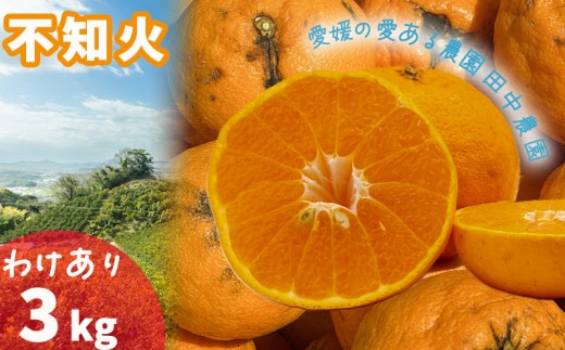 【2027年2月下旬頃から順次発送】不知火 しらぬい 約3kg  訳あり でこぽんと同品種 愛媛産 愛媛県産 国産 愛媛みかん 愛媛蜜柑 愛媛ミカン みかん ミカン mikan 柑橘類 訳アリ ワケアリ 蜜柑 柑橘 フルーツ 果物 くだもの お取り寄せ 産地直送 数量限定 人気 おすすめ 愛媛県 松山市 田中農園