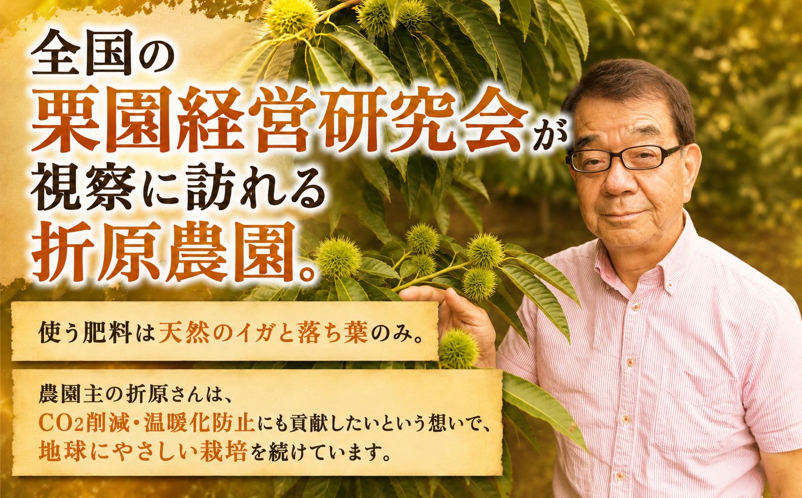 都会から１時間で、大粒の栗拾い体験！