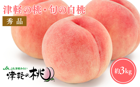 ≪8月中旬～8月下旬発送予定≫津軽の桃 旬の白桃 約3kg 秀品 《hi-0001-004》