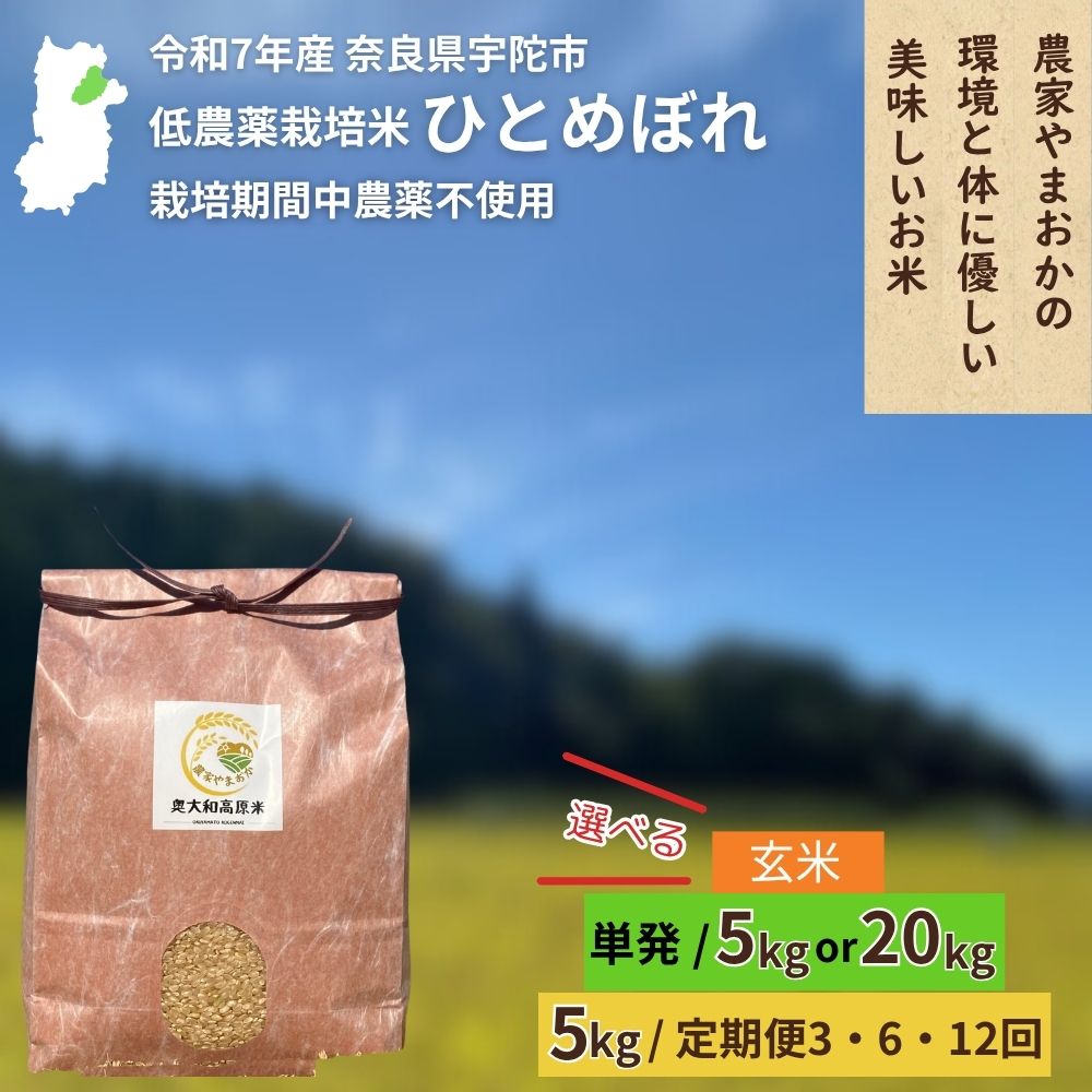 【ふるさと納税】＜令和7年産・先行予約＞＜選べる!! 単発5kg or 20kg / 毎月定期便 (5kg) 3・6・12回＞ひとめぼれ 玄米 9月末より順次発送 / ふるさと納税 低農薬 米 お米 こめ コメ 国産 新米 玄米 農家やまおか 奈良県 宇陀市陀市 ふるさと納税