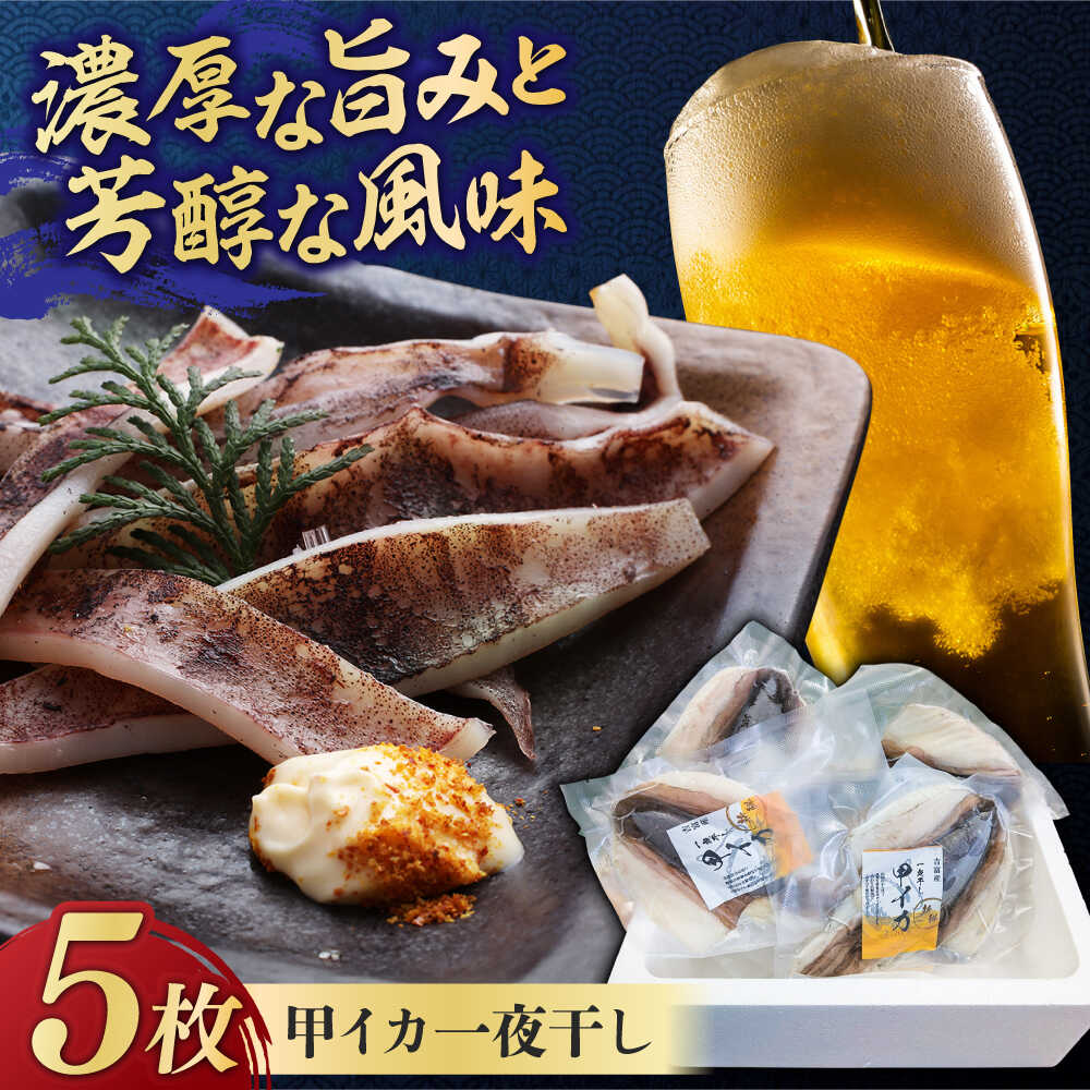 【ふるさと納税】【2025年5月より順次発送】 甲イカ 一夜干し 5枚 吉富町/吉富漁業協同組合 [BGAW001] いか イカ 甲いか 干物 ひもの 魚介 美味しい 魚 簡単 料理 おかず おつまみ 加工品 魚介類 人気 おすすめ 大きい 新鮮 ギフト 天日干し こだわり 国産 送料無料