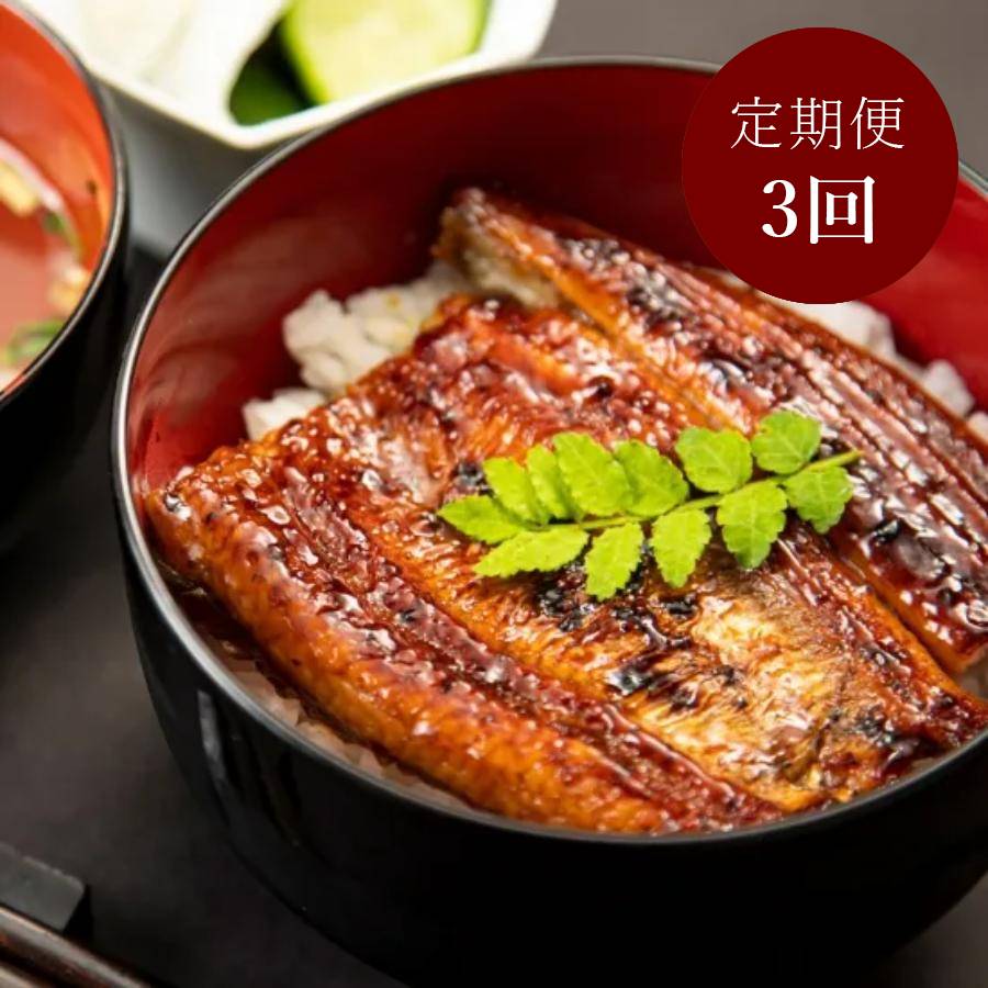 ”木曽三川うなぎ“（特大）100g×3枚【3ヵ月定期便】